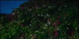 Macky 2 – “Fyafula” Mp3 Download