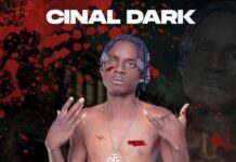 Cinal Dark – “Survival” Mp3 Download