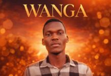Down Waka – Wanga (Prod By Dj Young Cee) Mp3 Download