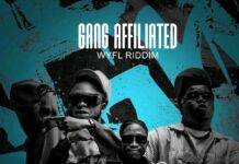 Jae Cash, Dizmo & Y Cool (Apa Ili So) – Gang Affiliated (WYFL RIDDIM) Mp3 Download
