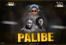 Pablo Ni Wise ft Sams x C490 – Palibe (Prod By Wave Limit) Mp3 Download