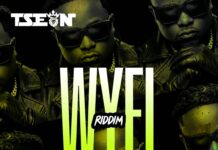 T Sean – Gweh (WYFL Riddim) Mp3 Download