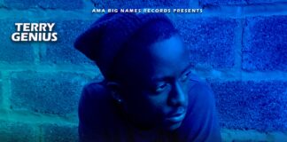 Terry Genius – Incase Fyalipwile Mailo (Prod By Ben Praiz) Mp3 Download