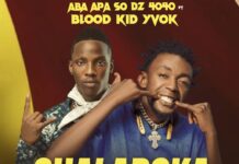 D Zed ft Blood Kid Yvok – Chalapoka (Prod By Jay Swag Zm) Mp3 Download