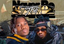 Mr Fun MN Ft Ray Dee – Never Be The Same (Prod By T Flex) Mp3 Download