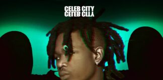 Celeb City – Bad Girl (Prod By Dj Momo) Mp3 Download
