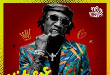 Yo Maps New Song 2026 – Vibes On Vibes Album Lastest