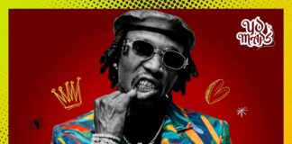 Yo Maps New Song 2026 – Vibes On Vibes Album Lastest