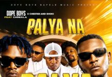 Dope Boys, Chester, Shokii & Chiwala – “Palya Na Palya” Mp3 Download