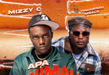 Mizzy C Ft Vinchenzo M’bale – Nimautimba (Prod By Skiller Skipper) Mp3 Download
