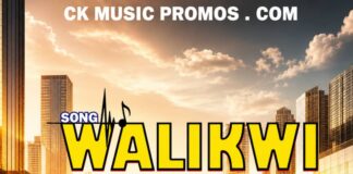 One Kelvy Ft J Viper, Zamwenda Abajimbo & Chil Brazer – “Walikwi” Mp3 Download