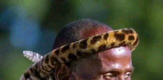 Paramount Chief Mpezeni of the Ngoni people, has died