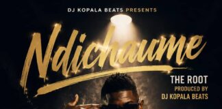 The Root Ifyaoyo – Ndichaume (Prod By Dj Kopala) Mp3 Download