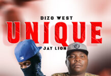 Dizo West x Jay Lion – Unique (Prod By JeJe) Mp3 Download
