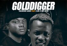 Falucho Luko ft 4 Na 5 (Mr How) – Golddigger (Prod By DJ Momo) Mp3 Download