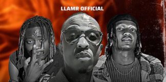LLamr Official Ft Derrickel Zm & Rick Boy – Naine Niyeseko (Prod By LLamr) Mp3 Download