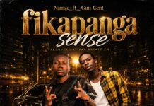 Namze ft Gun Cent – Fikapanga Sense (Prod By Van D Beatz Zm) Mp3 Download