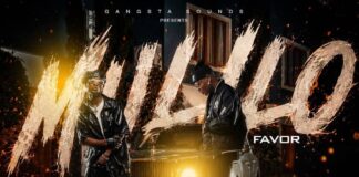 Selemanyo Ft Mr Apo – Mulilo (Favor) Mp3 Download