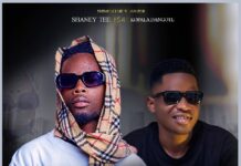 Shaney Tee Ft Kopala Dangote – Amaka (Prod By Dj Kopala) Mp3 Download