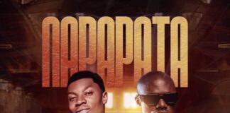 Lz Rous Ft Tiye p – Napapata (Prod By Lil Part) Mp3 Download