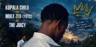 Mule Zed (The Juicy) – Dream Chaser Freestyle (Prod By D Trex) Mp3 Download