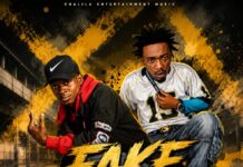 Social Boy Ft D Zed Aba Apaso – Fake Friends (Prod By Dj Momo) Mp3 Download