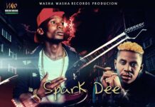 Spark Dee Nyangalu ft Rich Bizzy – Time Yanga (Prod By Tok Cido) Mp3 Download
