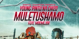 Young Pintu Na Chizo Ft Mogmejor – Muletushamo (Prod By Chama) Mp3 Download